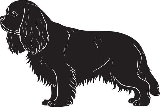 Cavalier King Charles Spaniel &ndash; Solid Black Silhouette and Outline Vector Set