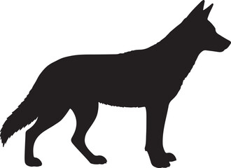 Dingo – Solid Black Silhouette and Outline Vector Set