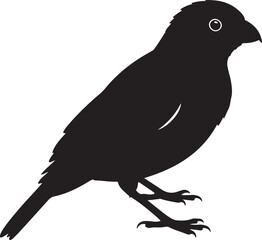 Javan Cuckoo-shrike Vector Silhouette