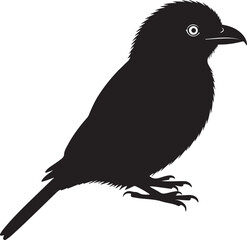 Javan Frogmouth Silhouette