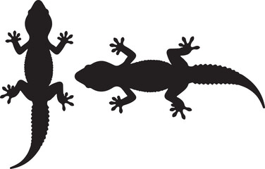 Indian Golden Gecko Silhouette