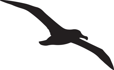 Indian Yellow-nosed Albatross Silhouette