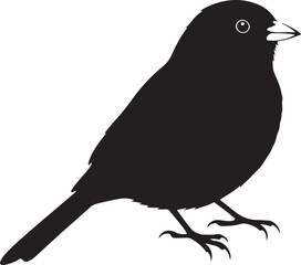 Junco Silhouette