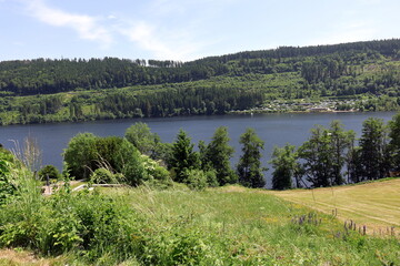 Der Titisee im Schwarzwald im Frühsommer