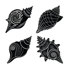 Seashell Silhouette bundle Spiral on White Background	
