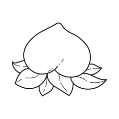 Chinese New Year Pattern Design Elements