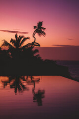 Tropical sunset with palm trees at a hotel in Zanzibar
