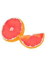  grapefruit illustration