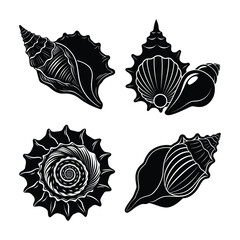 Seashell Silhouette bundle Spiral on White Background	

