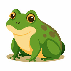 Burrowing Frog Vector on White