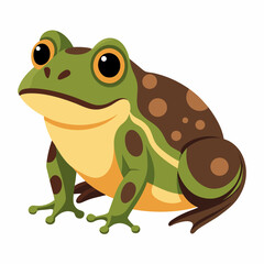 Burrowing Frog Vector on White