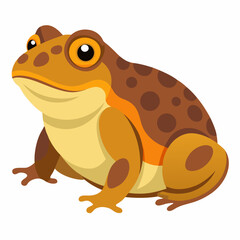 Burrowing Frog Vector on White