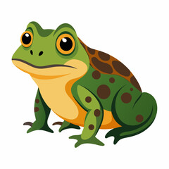 Burrowing Frog Vector on White