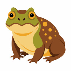 Burrowing Frog Vector on White