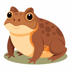 Burrowing Frog Vector on White