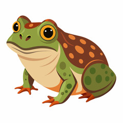 Burrowing Frog Vector on White