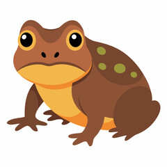 Burrowing Frog Vector on White
