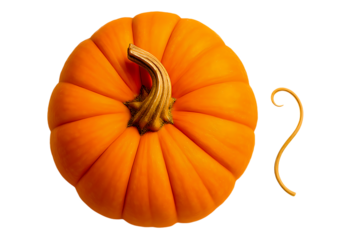 Vivid AI-generated image of a perfectly round orange pumpkin with elegant stem and curly tendril. **Add a touch of autumn charm to your design—download this beauty now!** 🎃🍂
