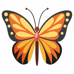 Minimal Butterfly Vector on White