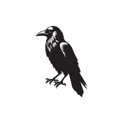 Crow Vector (4).eps