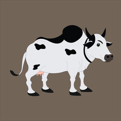 A Beautiful cow vector illustration. Ready for animation moral stories, made by adobe illustrator and ready for animate cc.