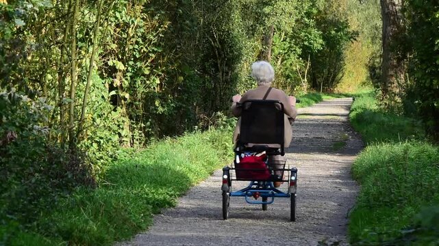 An elderly gray-haired woman, riding a tricycle with a rack, on a dirt road, among trees. Senior woman with gray hair riding a tricycle on a peaceful forest path. Eco-friendly transportation, zero