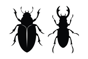 Beetle silhouette vector bundle  illustration
