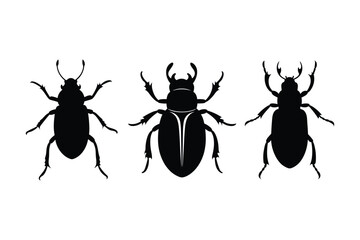 Beetle silhouette vector bundle  illustration