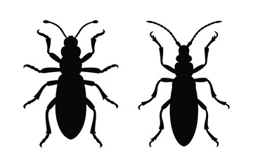 Beetle silhouette vector bundle  illustration