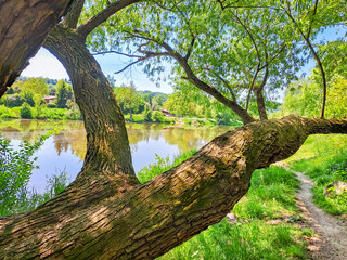 Beautiful views of the spring Berounka river, forest and mountains, Czech.