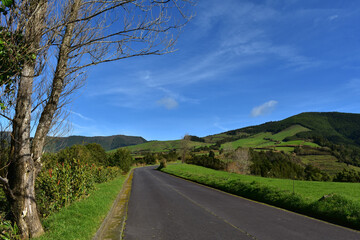 Road Way Winding Through the Lush Sao Miguel Countryside