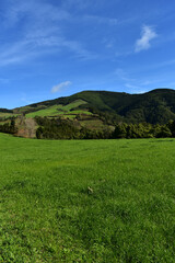 Green Grass Field with Rolling Hills and Pastures