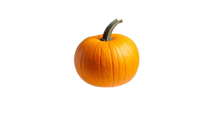 Fototapeta premium pumpkin