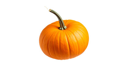 Obraz premium pumpkin