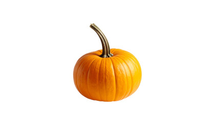 Obraz premium pumpkin