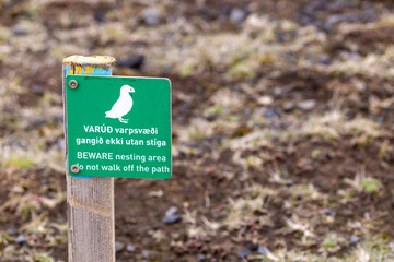 Puffin breeding grounds