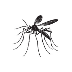 Water Strider Vector (2).eps
