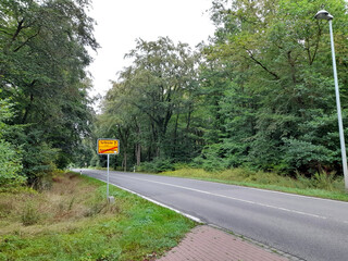 Straße. Wald, Ortsausgang, Natur, Sommer