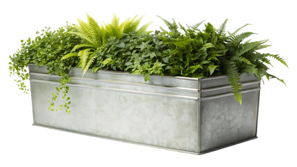 Rectangular Galvanized Metal Planter Box with Lush Greenery