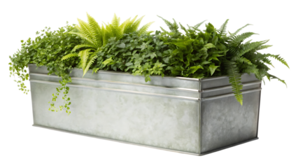 Rectangular Galvanized Metal Planter Box with Lush Greenery