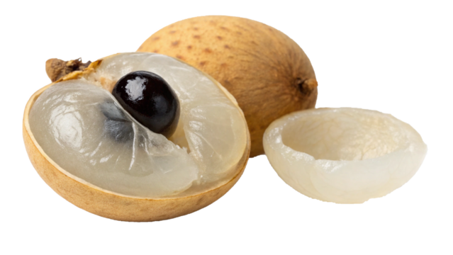 Realistic Whole and Peeled Longan Fruit with Black Seed