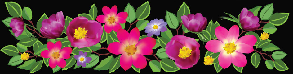 pink and lilac flowers band on black background