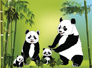 panda family near bamboo plants on green background