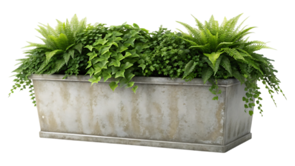 Elegant 3D Render of a Rectangular Planter Box with Lush Greenery