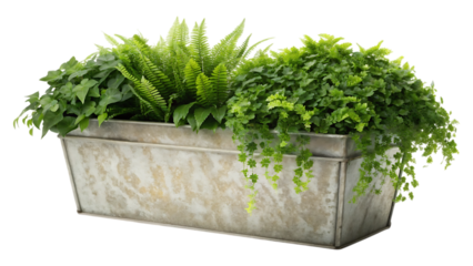 Rustic Galvanized Metal Planter Box with Lush Greenery
