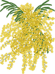 isolated yellow mimosa lush branch illustration