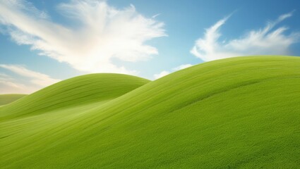 soft green grass on the field blue sky