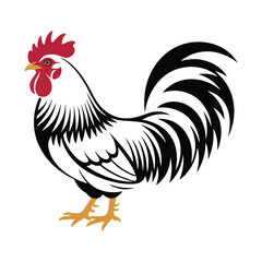 rooster isolated on white