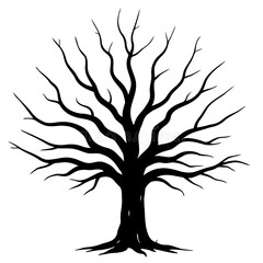 Obraz premium Oak old tree silhouette isolated