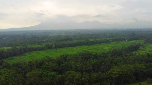 Multiple views of Bali